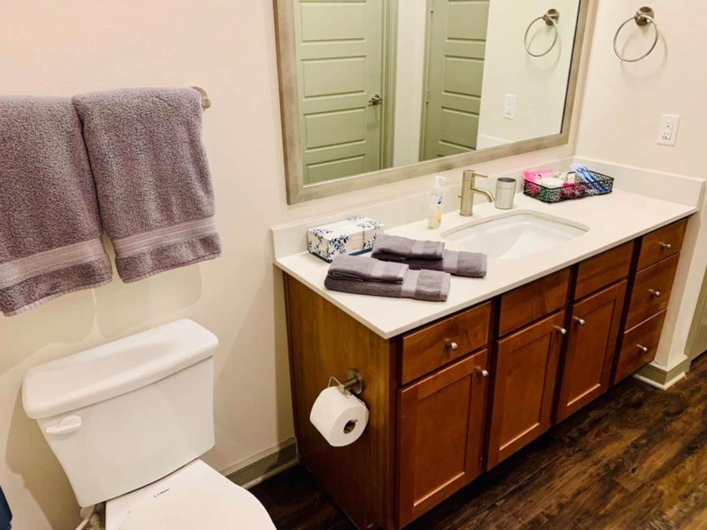יוסטון Downtown Apt Free Parking - Pool - Gym - Fully Kitchen מראה חיצוני תמונה